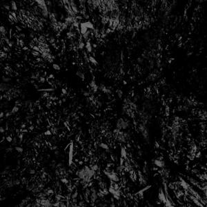 Alice_in_horror_wonderland's media
