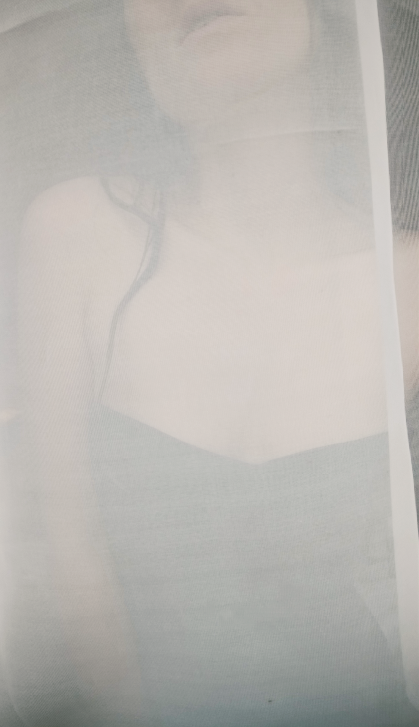 Alice-marie's media