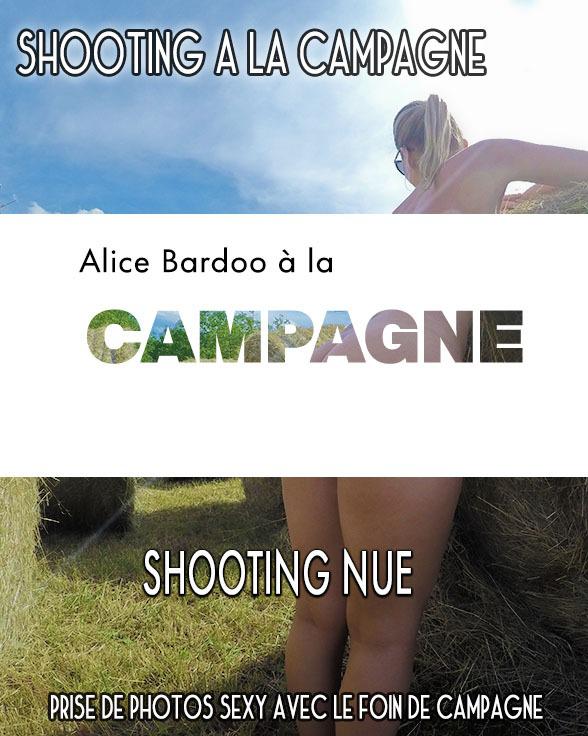 Alicebardoo's media