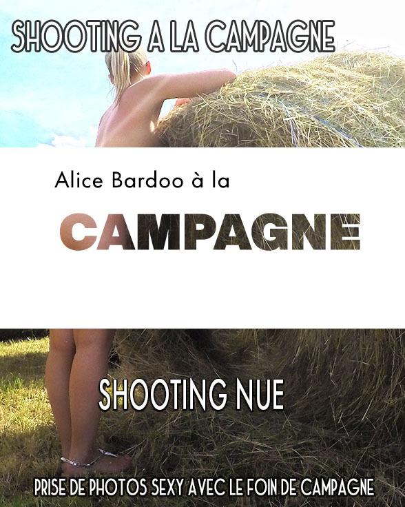 Alicebardoo's media