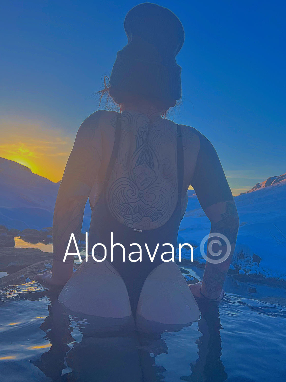 Alohavan's media