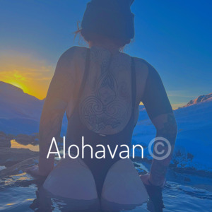 Alohavan's media