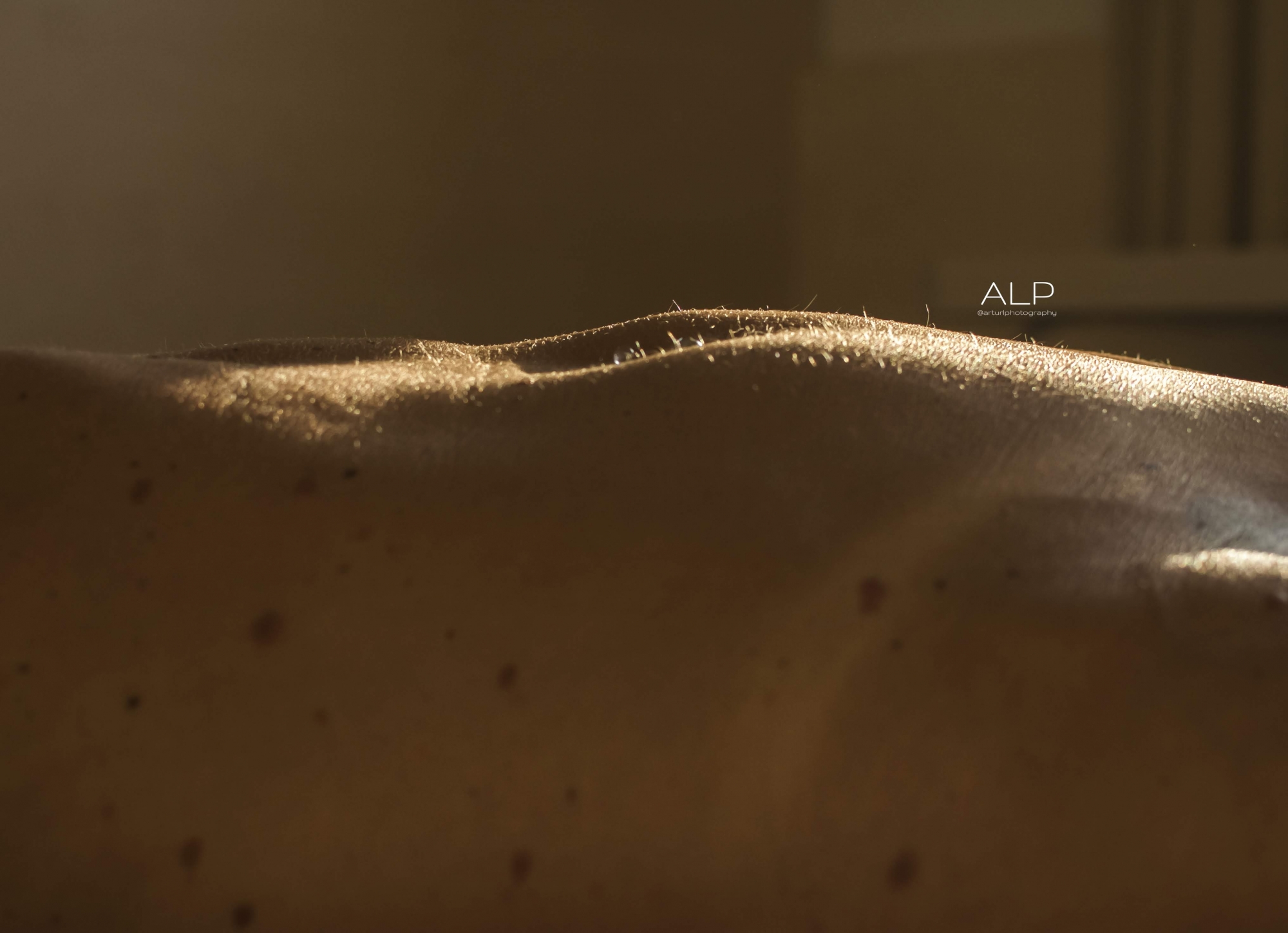 Alpmym's media