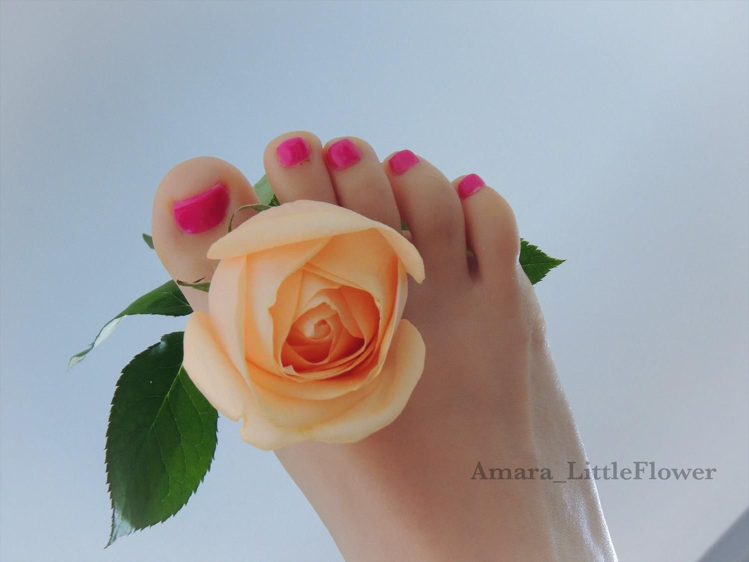 Amara_littleflower's media