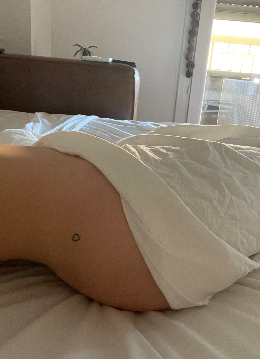 Amateursxxx's media