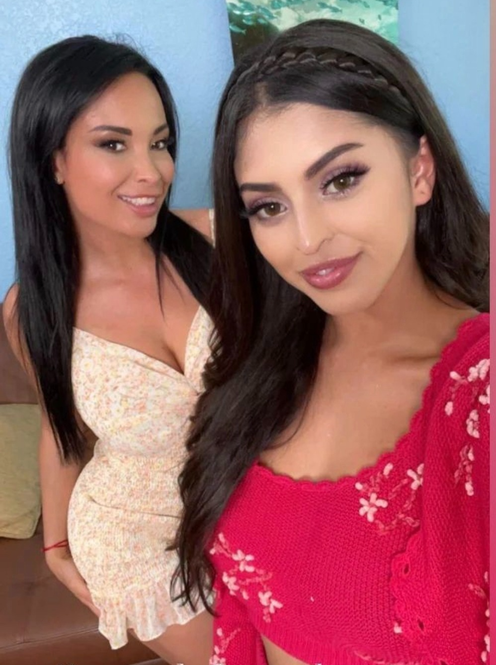 Anissakate's media