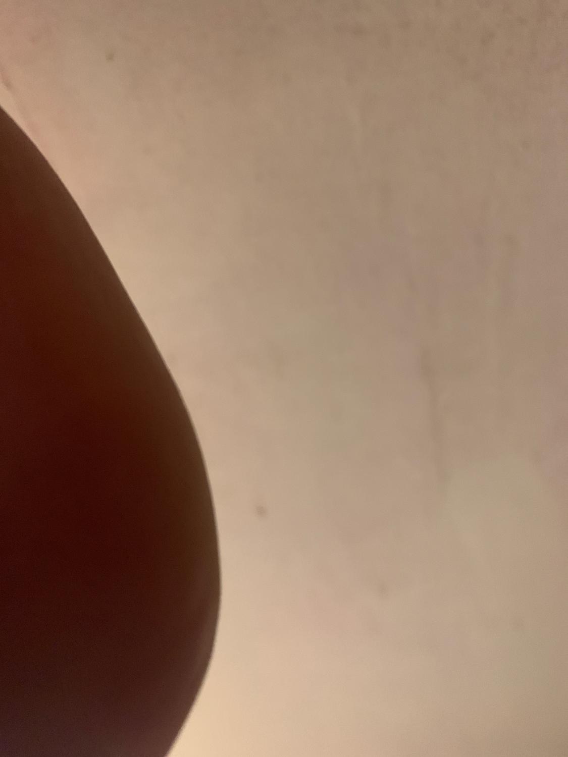 Anomym1's media