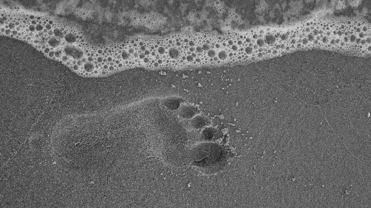 Anonyfeet's media