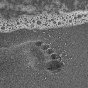 Anonyfeet's media