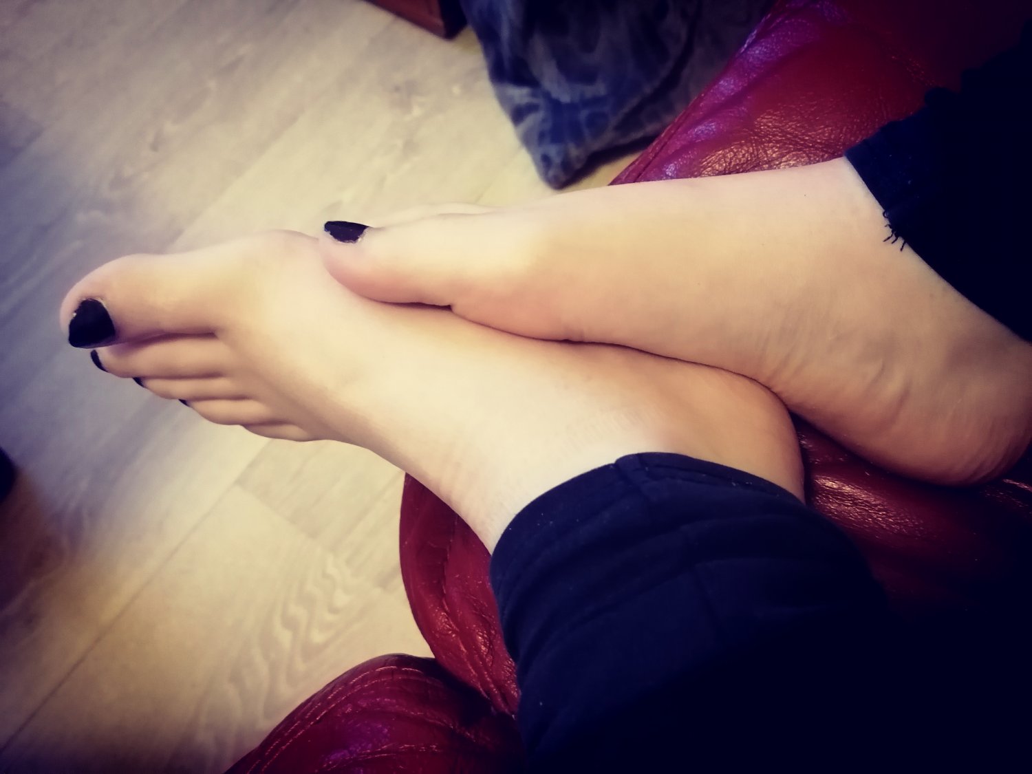 Ariiafeetgirl's media