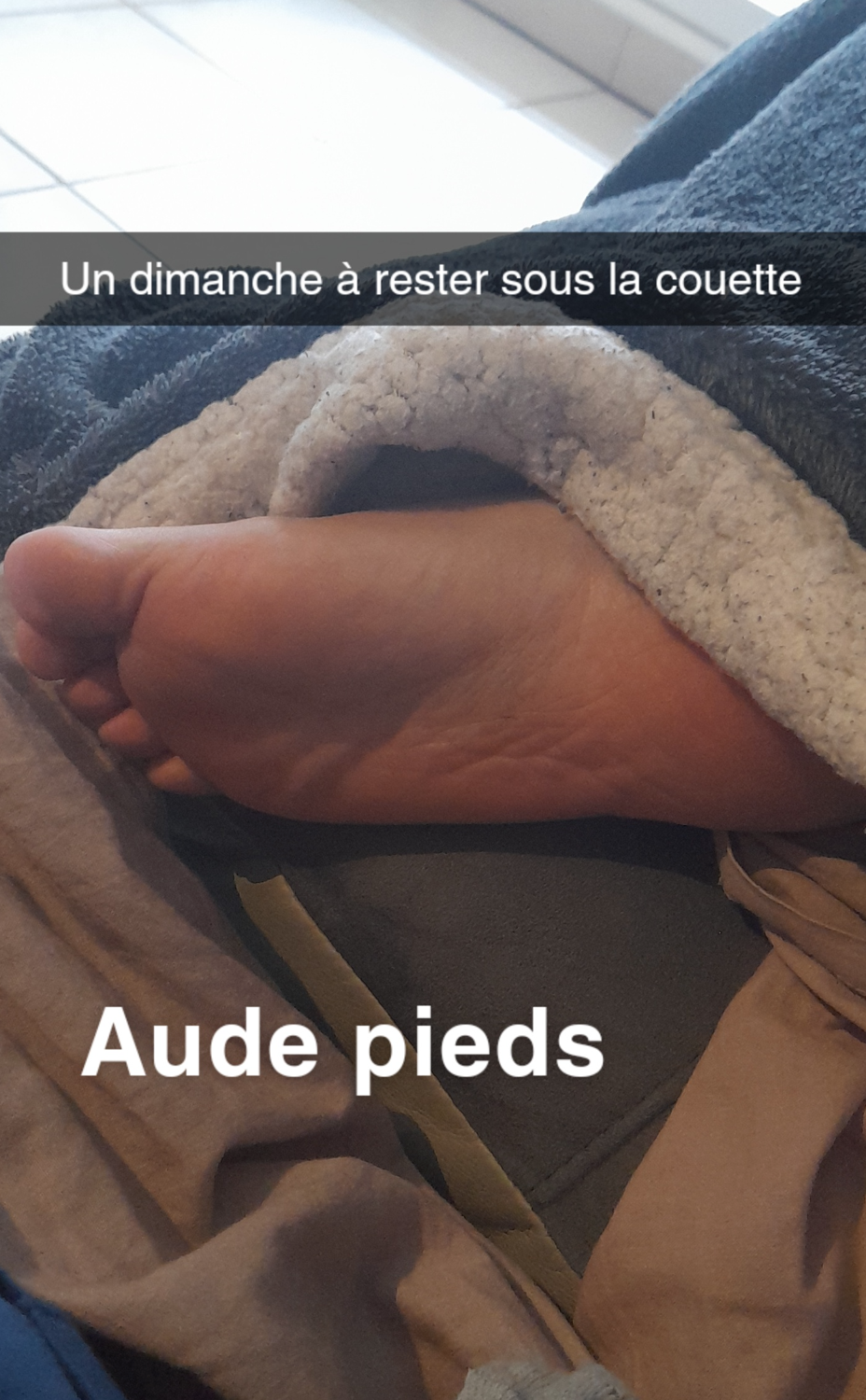 Audepieds's media