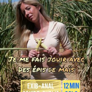 Aurbeaureal's media
