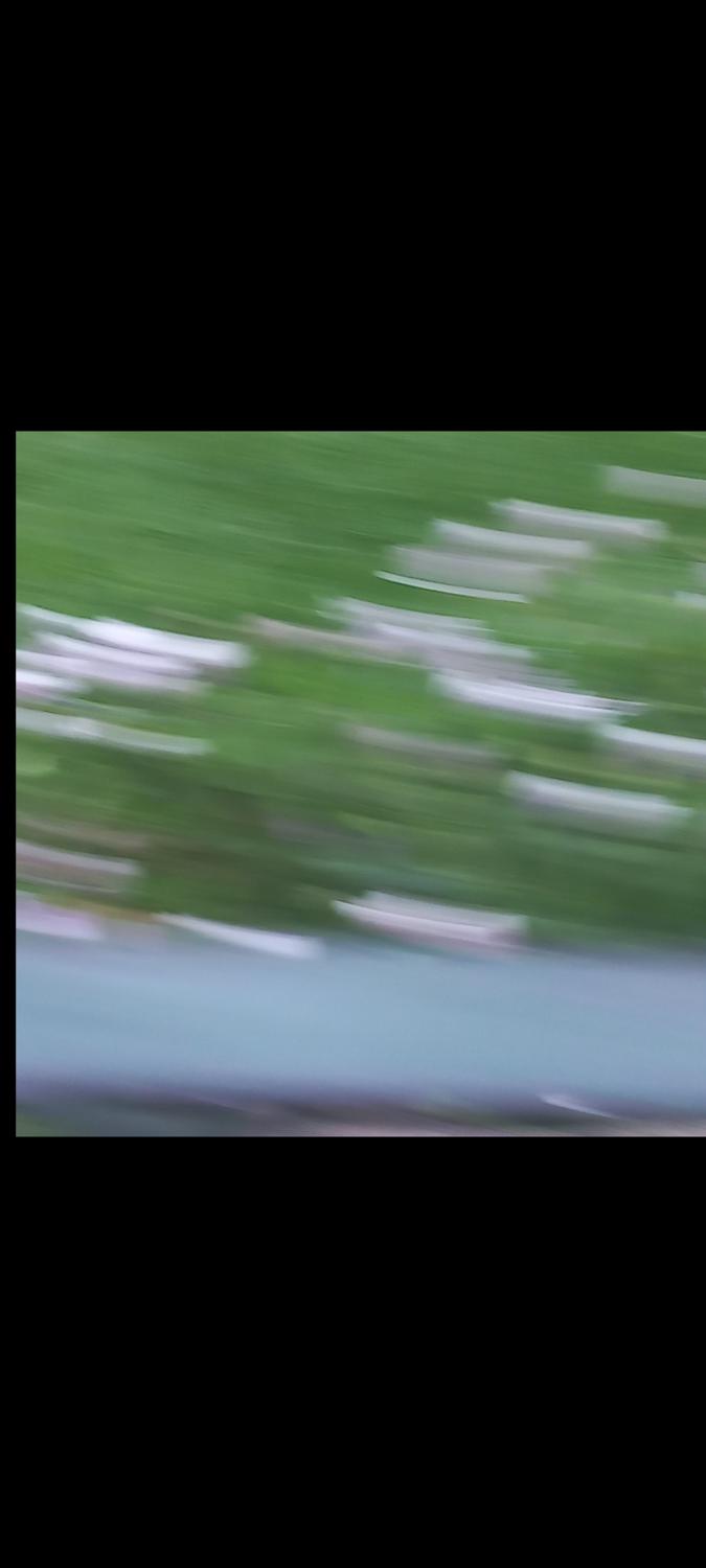 __ayla__'s media