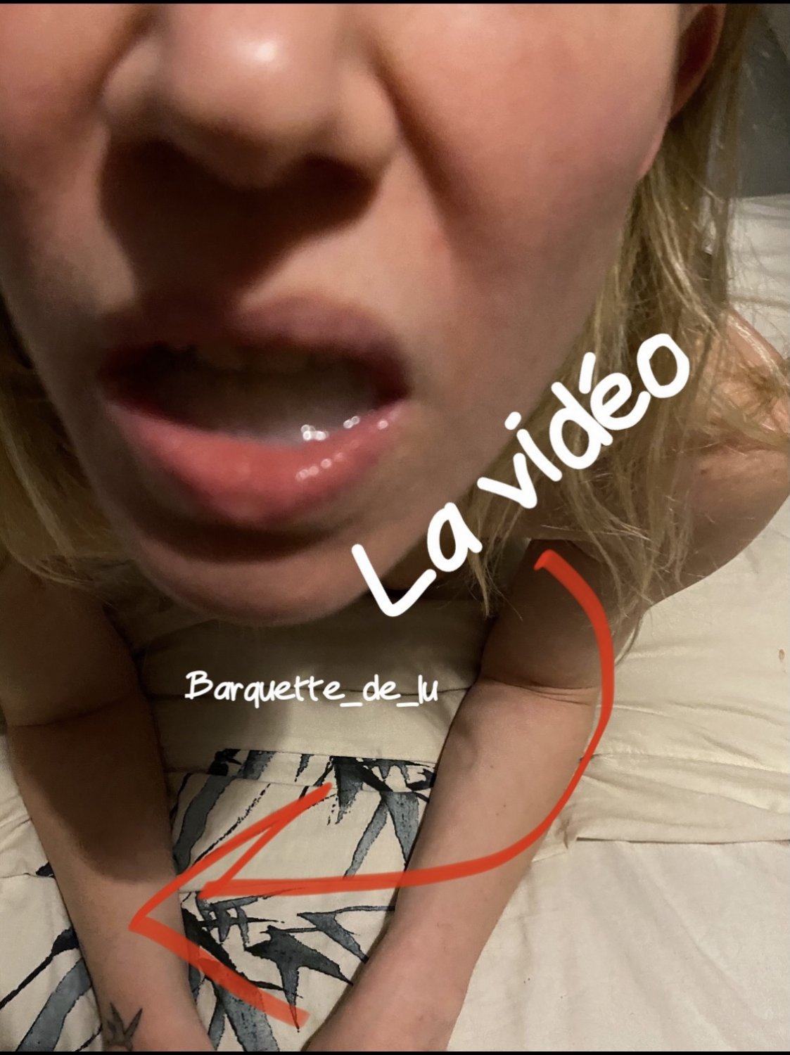 Barquette_de_lu's media