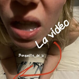 Barquette_de_lu's media