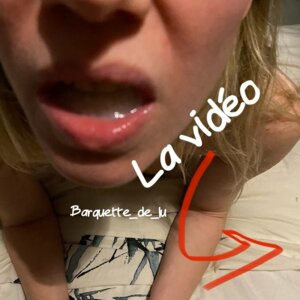Barquette_de_lu's media