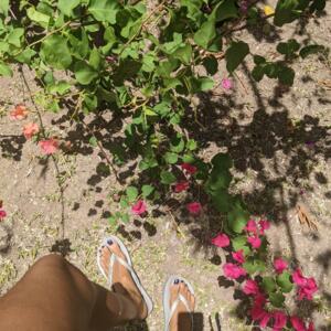 Beaulaufeet's media