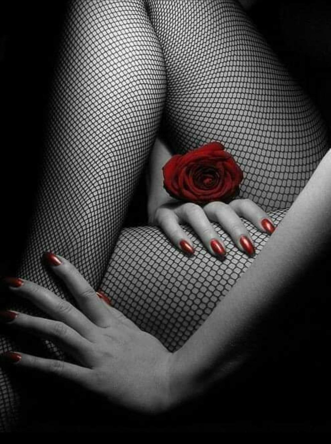 Bellissimalove's media