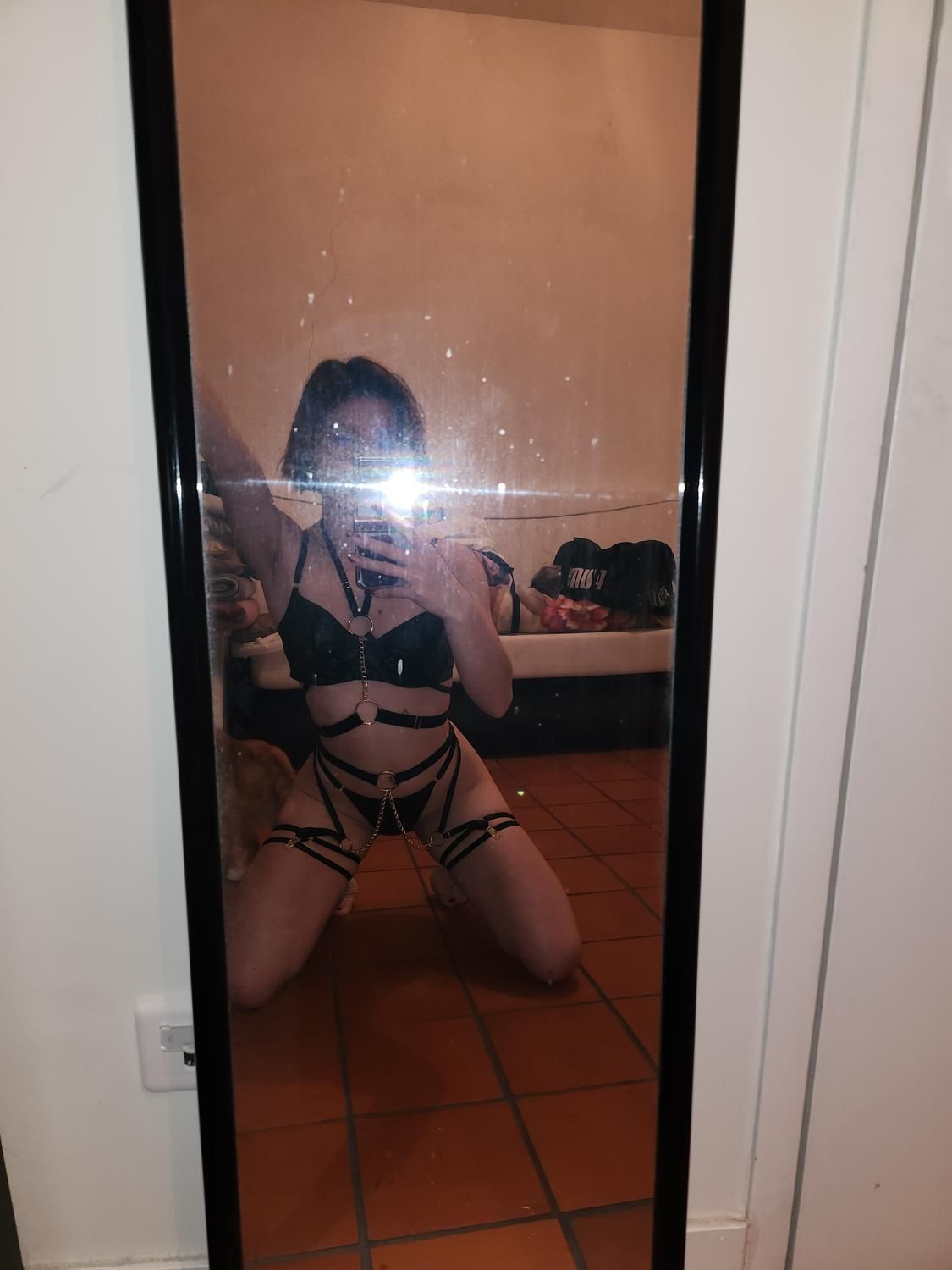 Bibilove6's media