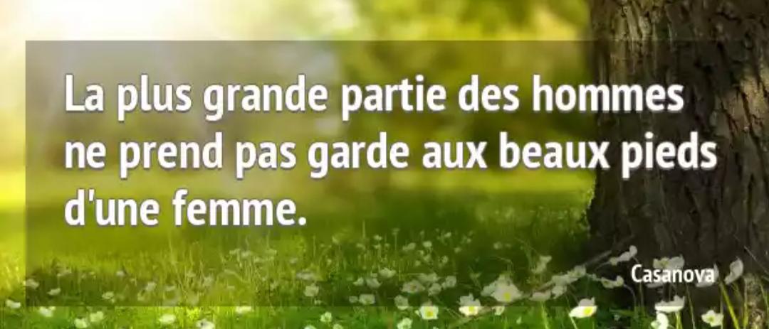 Biboune2023's media