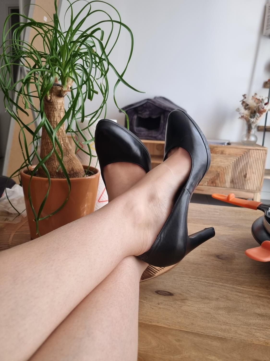 Bichoune_pied69's media
