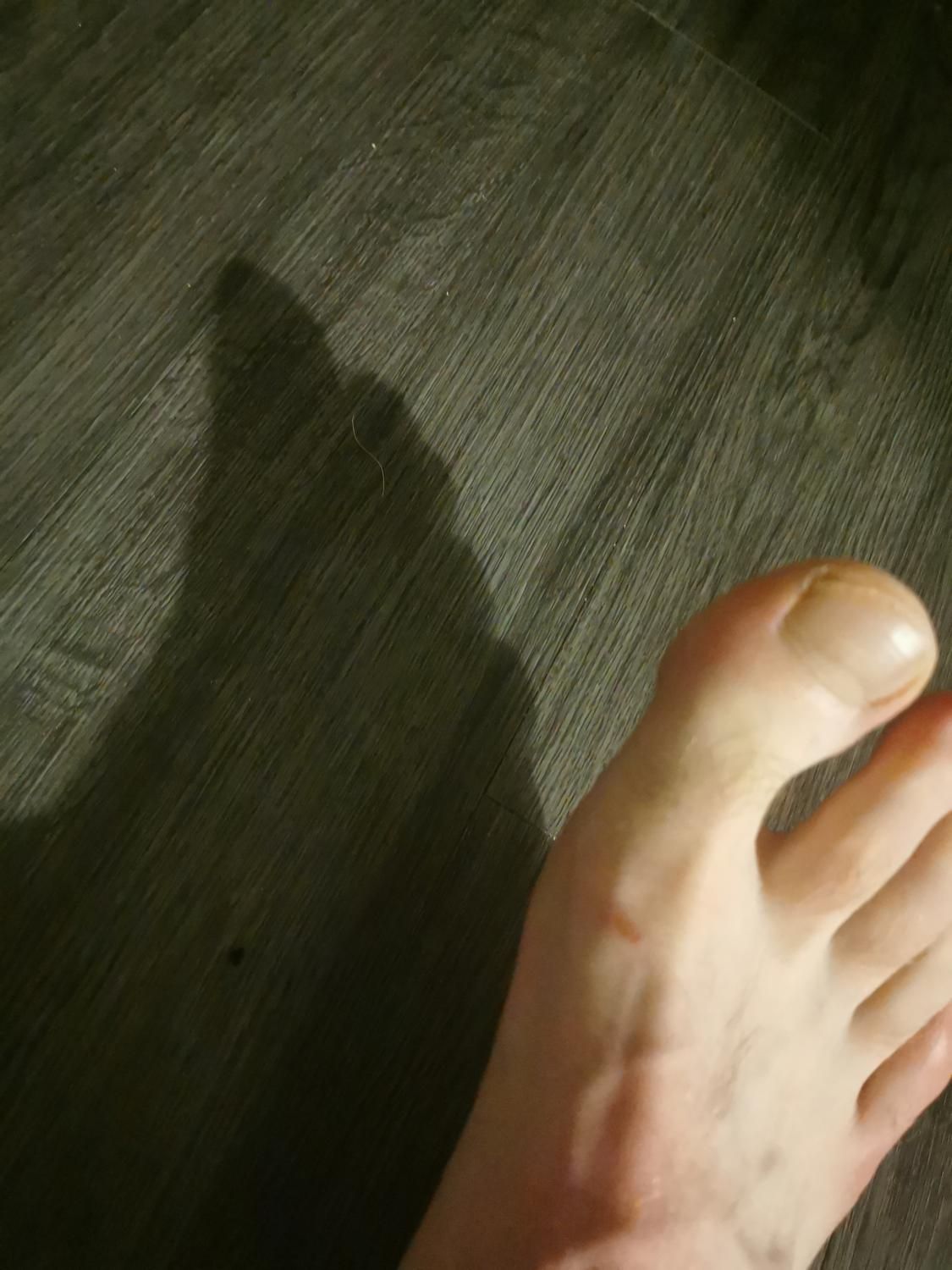 __bigfoot_'s media