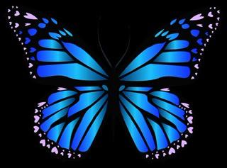 Blue_butterfly14's media