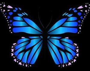 Blue_butterfly14's media