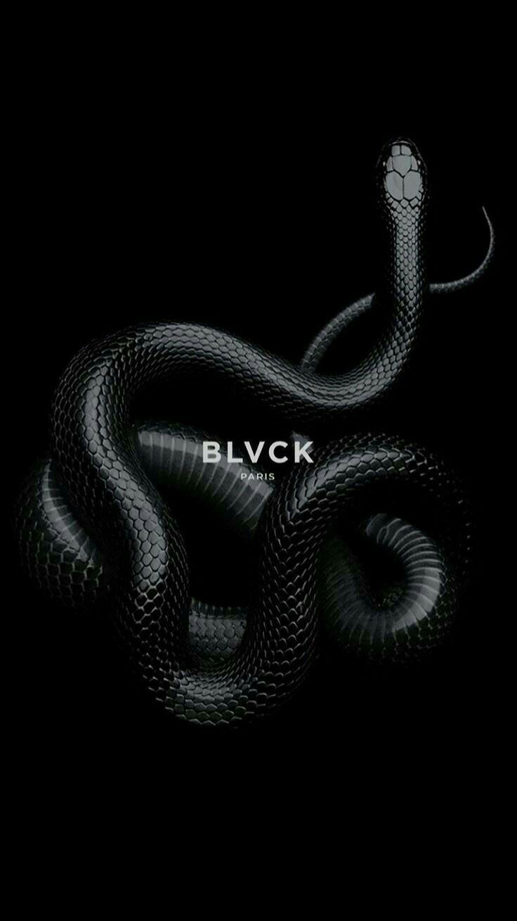Blvckagape's media
