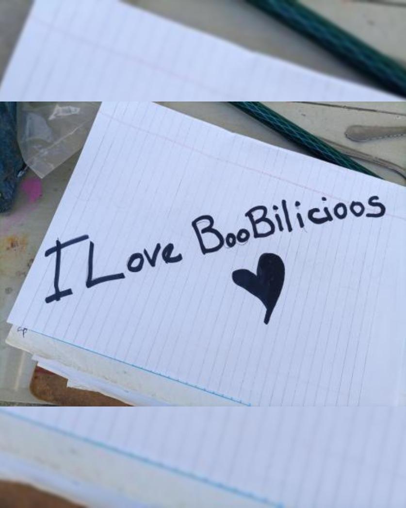 Boobilicious's media