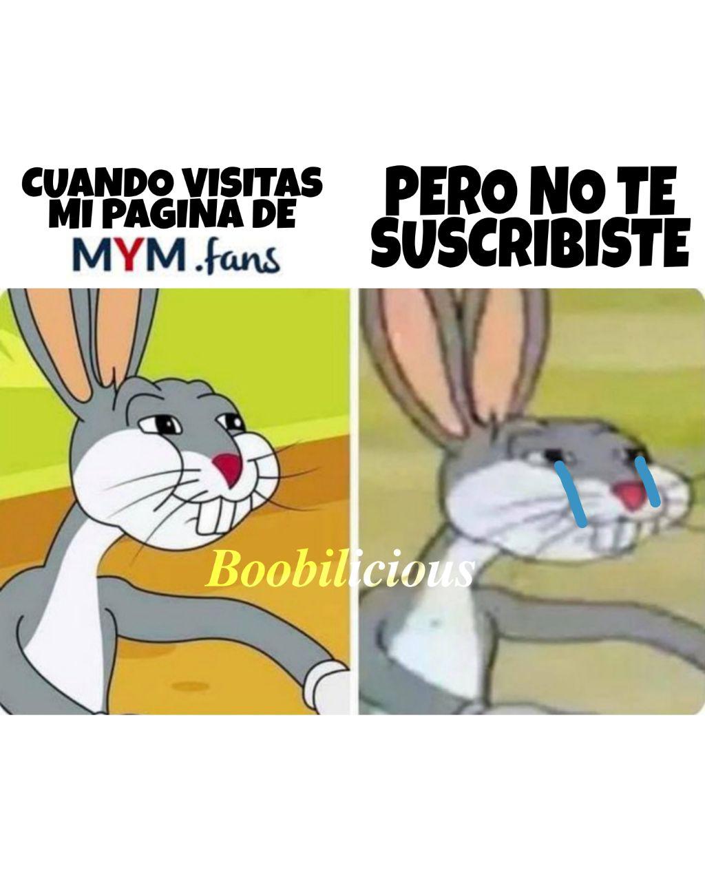Boobilicious's media