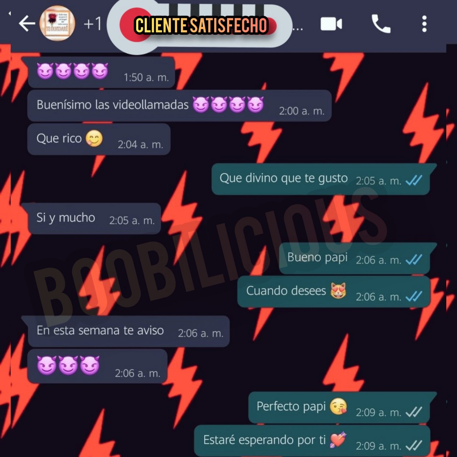 Boobilicious's media
