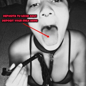 Boobilicious's media