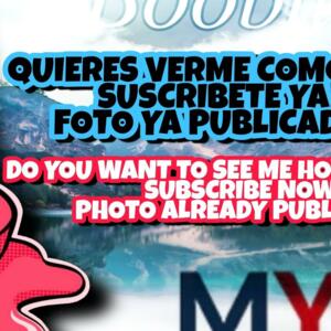 Boobilicious's media