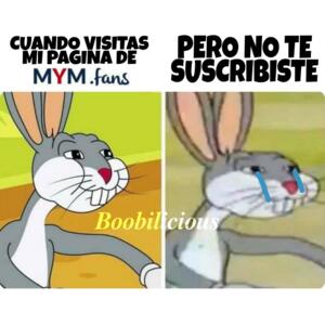 Boobilicious's media