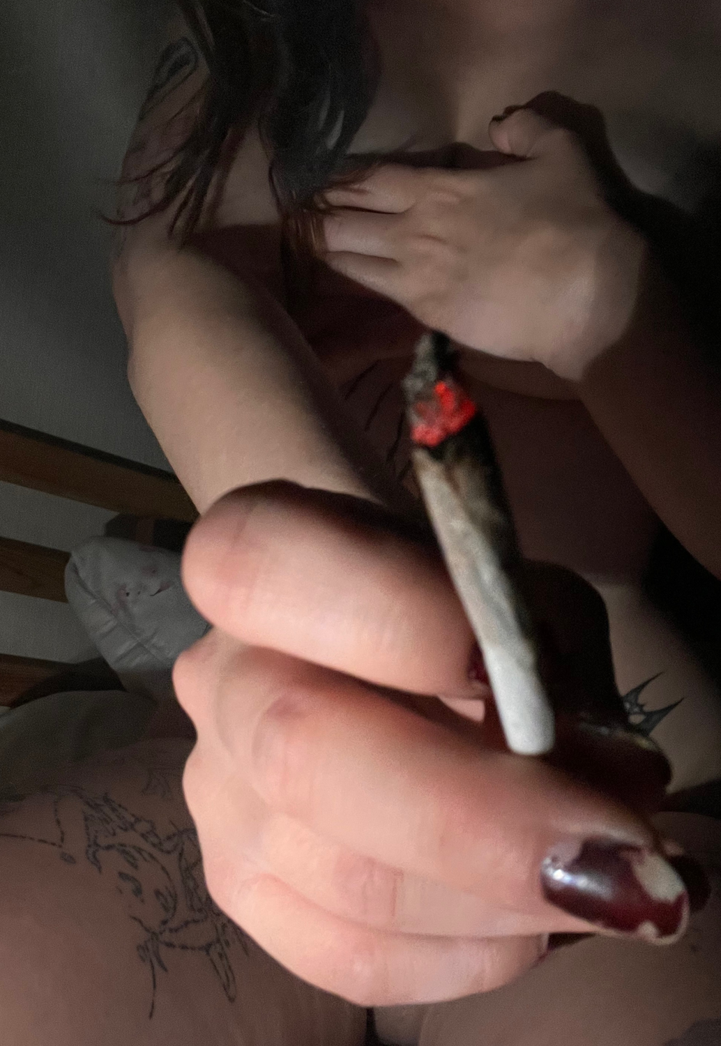 Bunny666's media