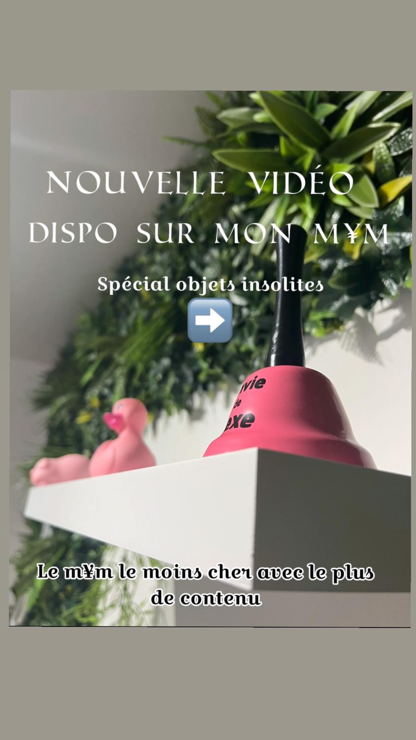 Bunnyfly's media