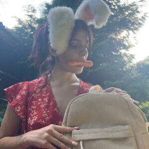 Bunnyfly's media