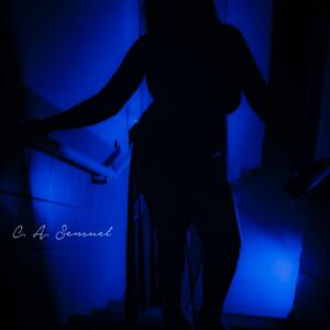 C_a_sensuel's media