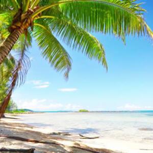 Caribbehandfeet's media