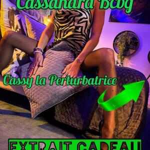 Cassandra_bcbg's media