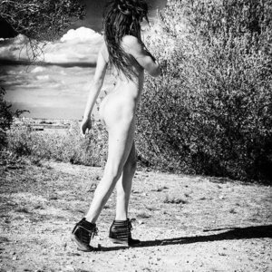 Cassandracoquine's media