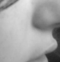 Catarina_lestat's media