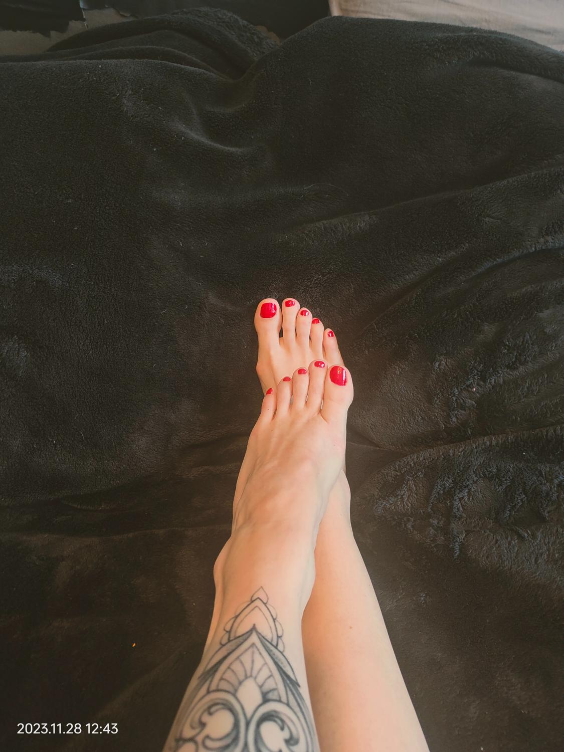 Cctatoo's media
