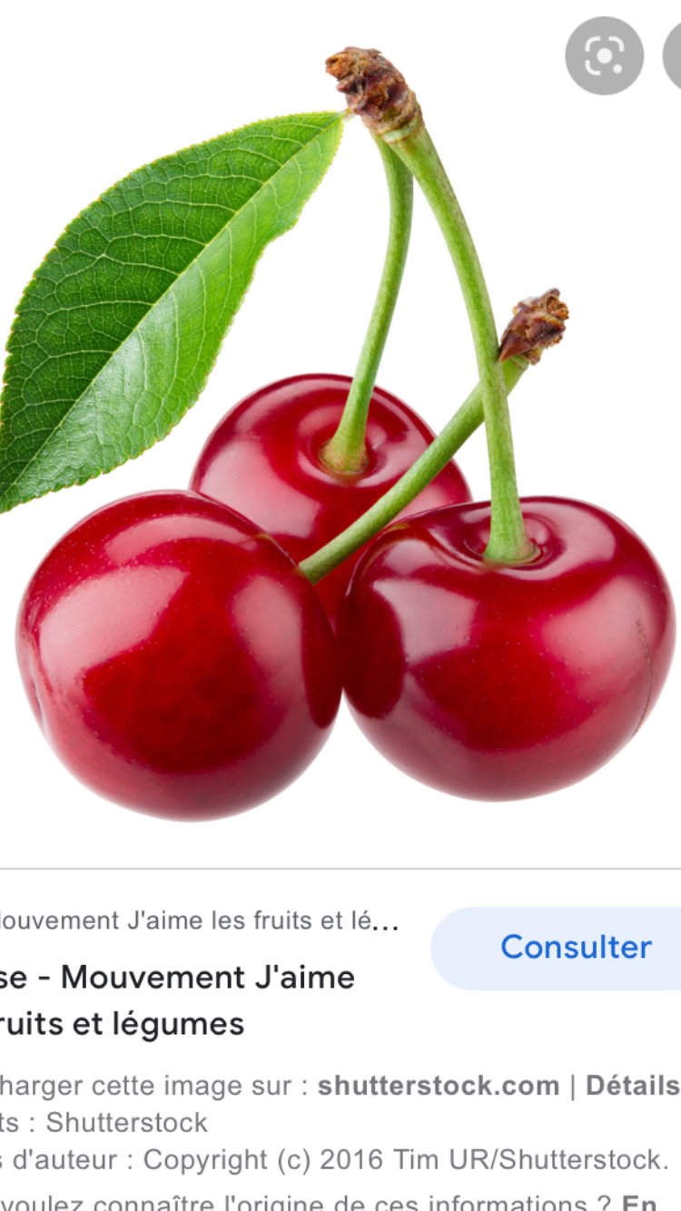 Cerise-101213's media