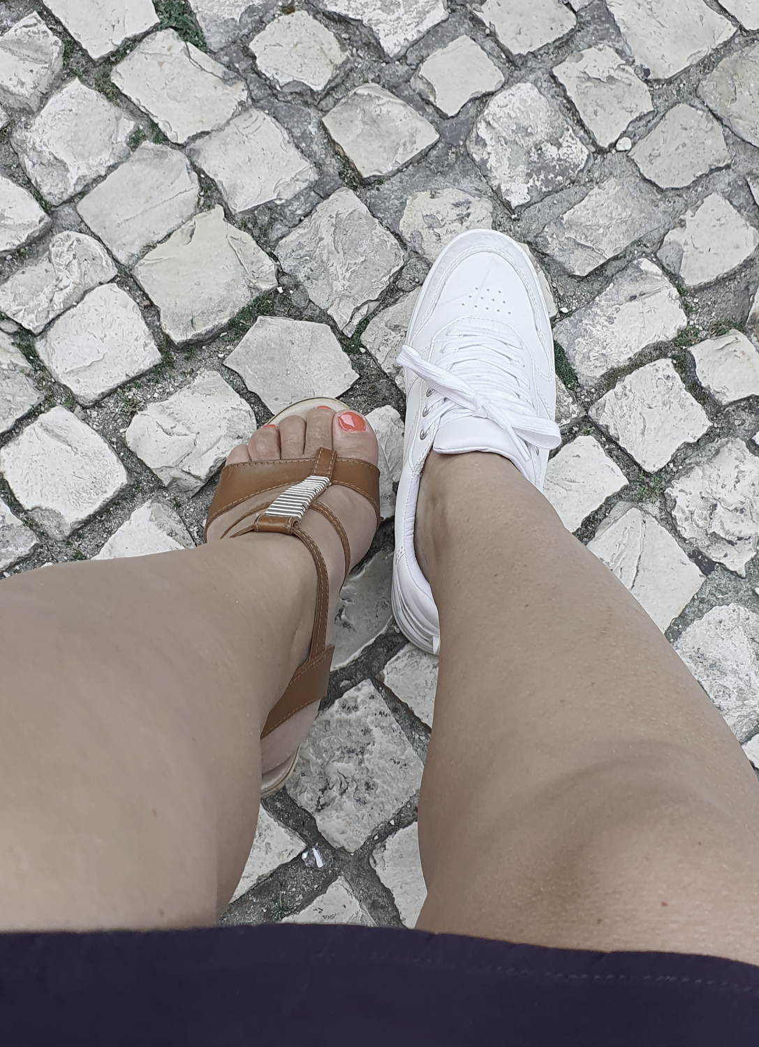 Chaussettes's media