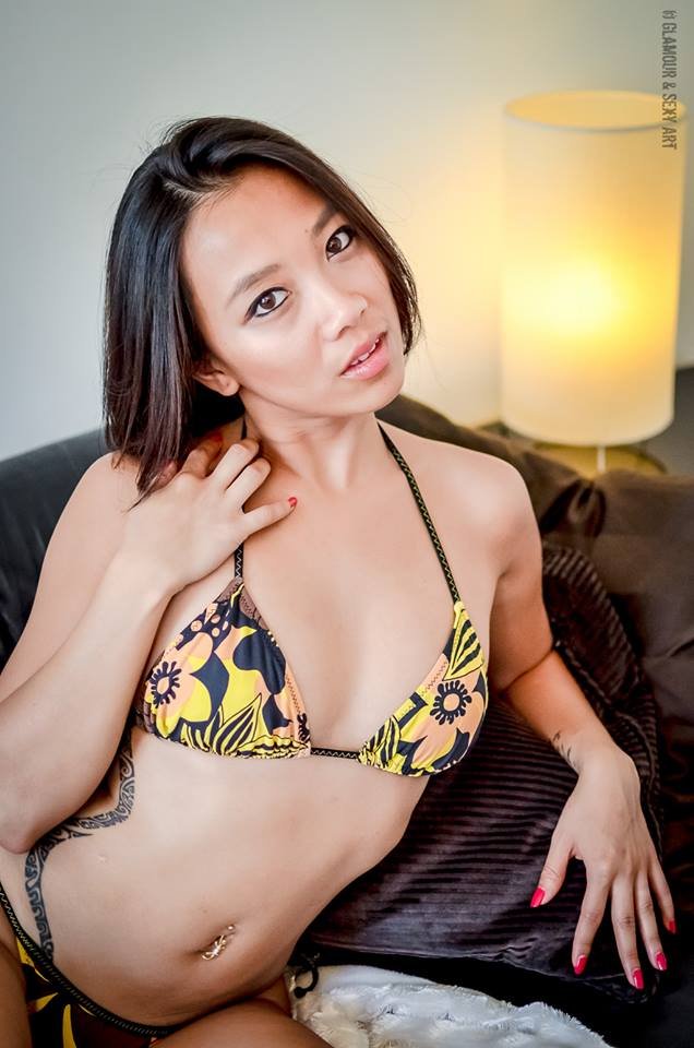 Chinoiserie's media