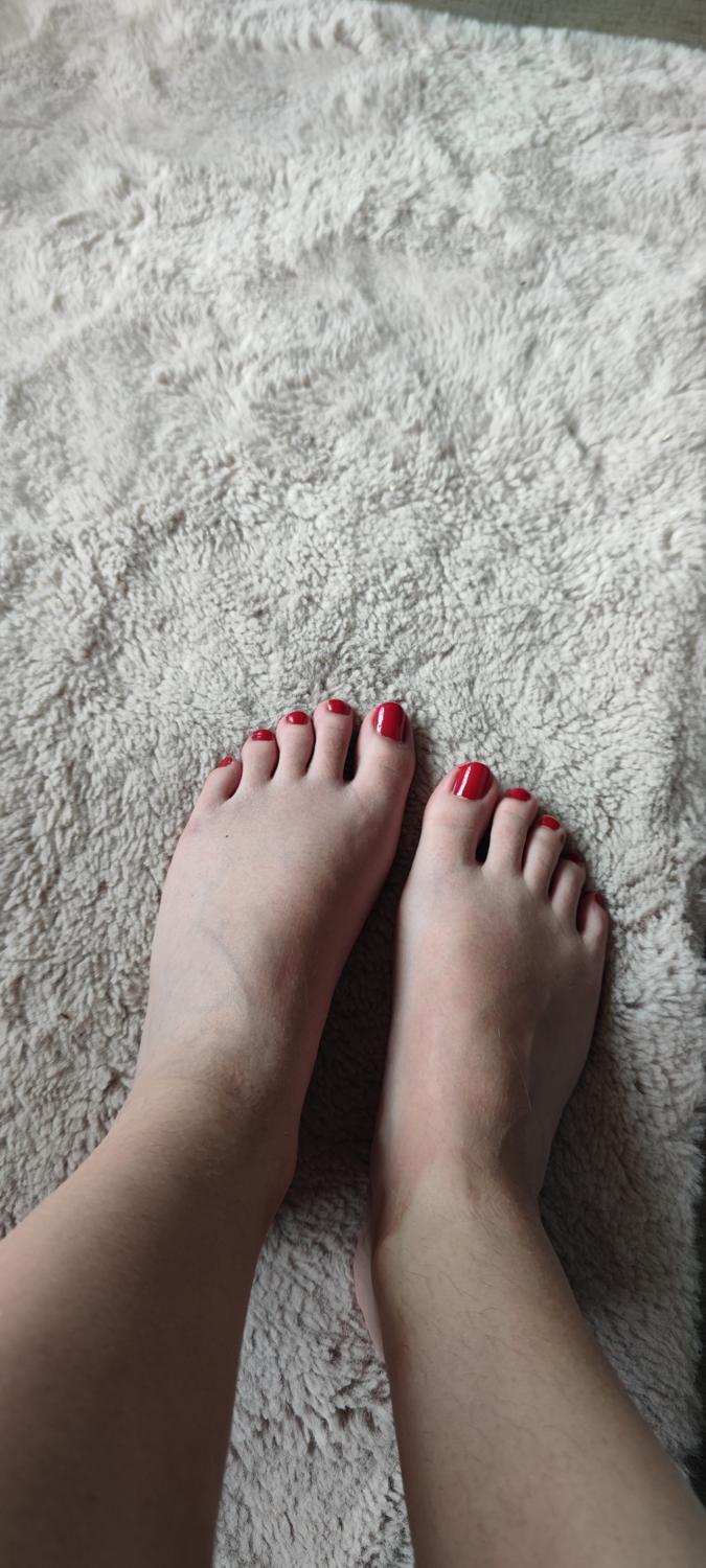 Chipieds's media