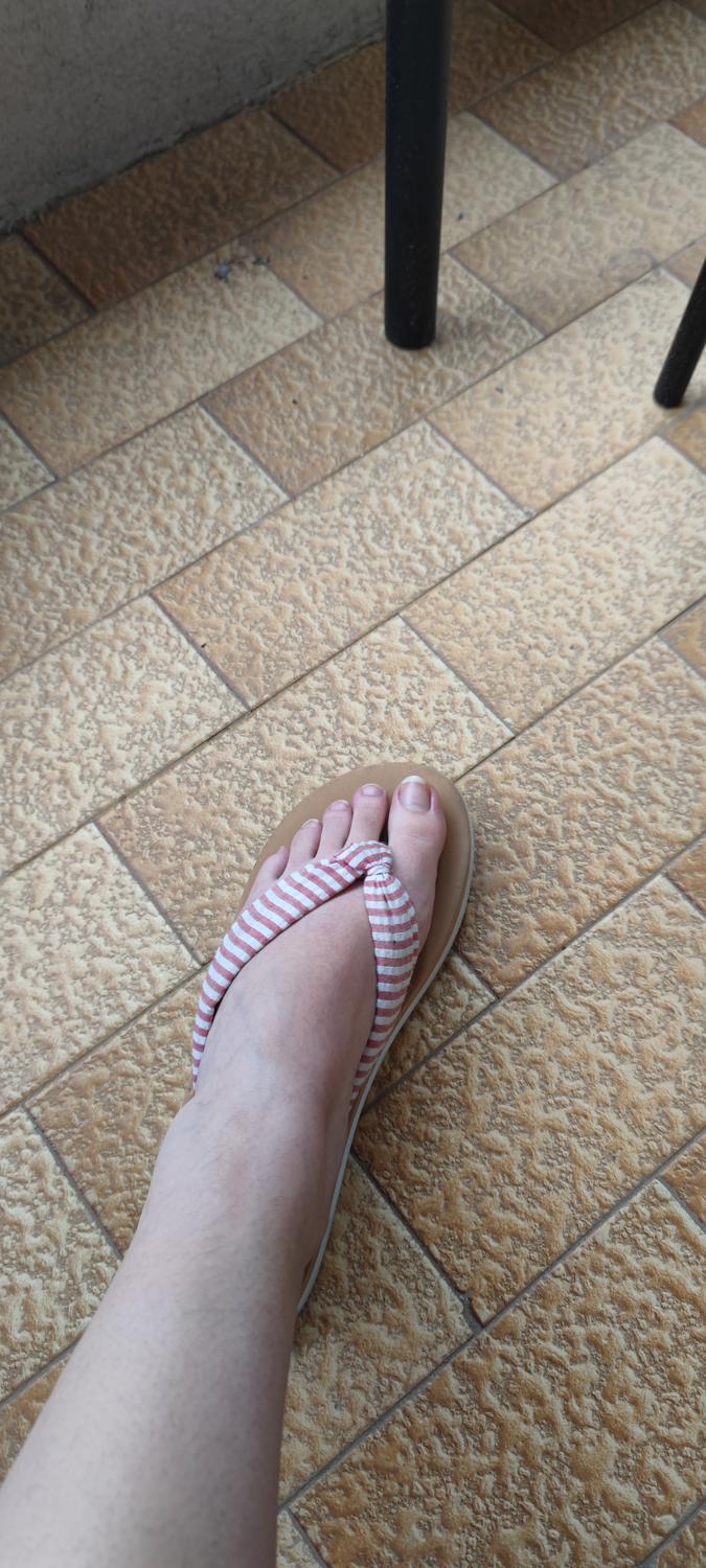 Chipieds's media