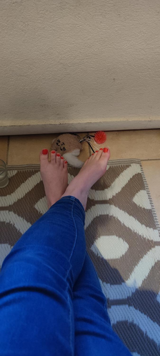Chipieds's media